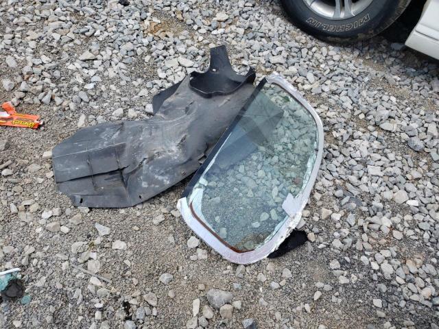 3VWBM31Y15M313756 - 2005 VOLKSWAGEN NEW BEETLE GL 红色 照片 12