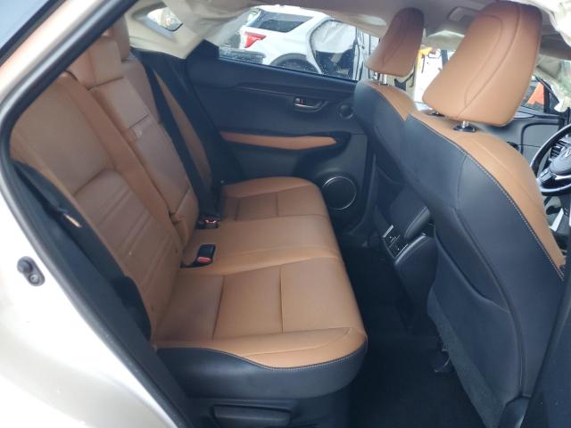 JTJDARBZ6M5033010 - 2021 LEXUS NX 300 BASE Ağ foto 11