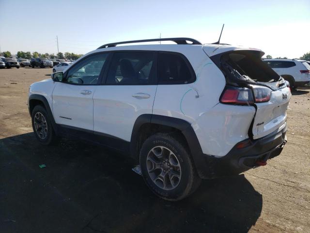 1C4PJMBX8LD554476 - 2020 JEEP CHEROKEE TRAILHAWK Ağ foto 2