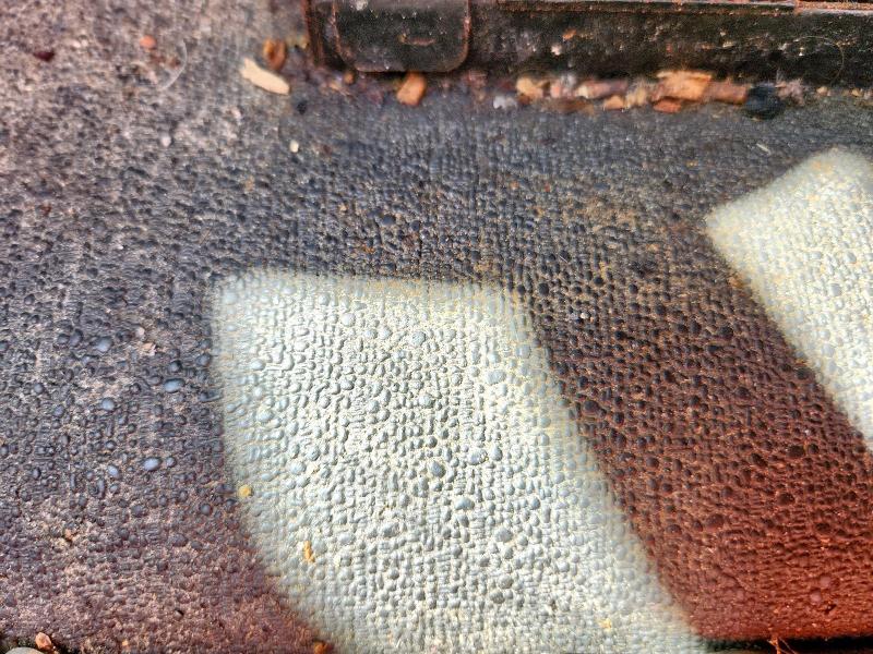 3AKJHHDV6LSLZ3665 - 2020 FREIGHTLINER CASCADIA 1 RED photo 5