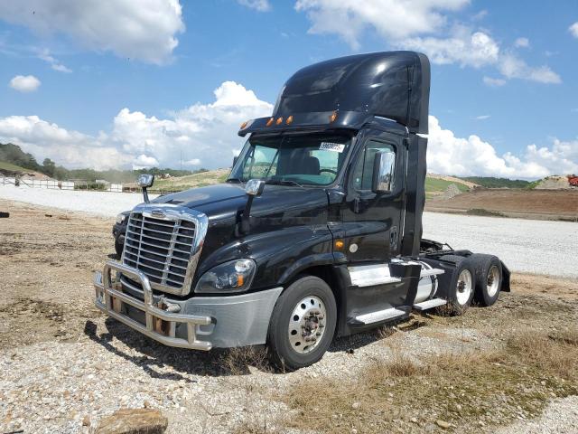 1FUJGED65GLGW6559 - 2016 FREIGHTLINER CASCADIA 1 أسود صورة 2