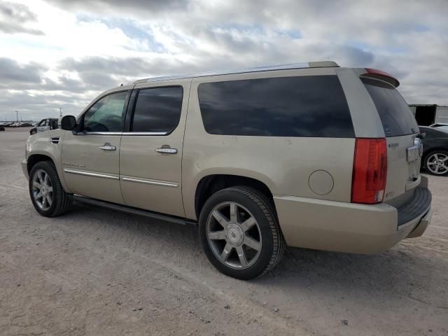 1GYFK26299R142150 - 2009 CADILLAC ESCALADE ESV LUXURY BEIGE photo 2