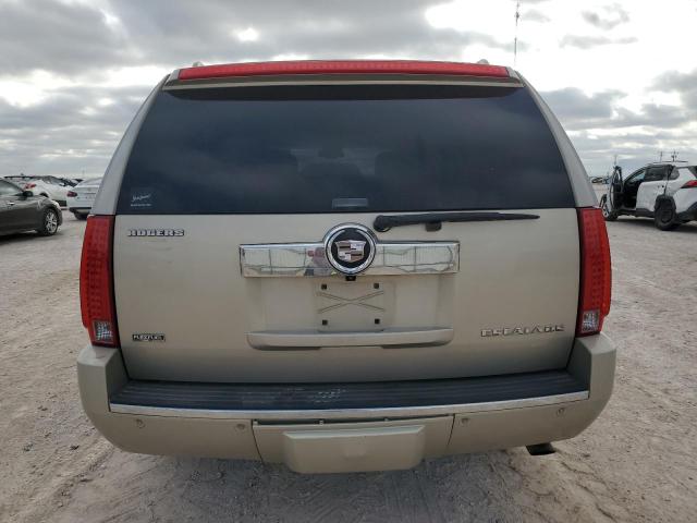 1GYFK26299R142150 - 2009 CADILLAC ESCALADE ESV LUXURY BEIGE photo 6