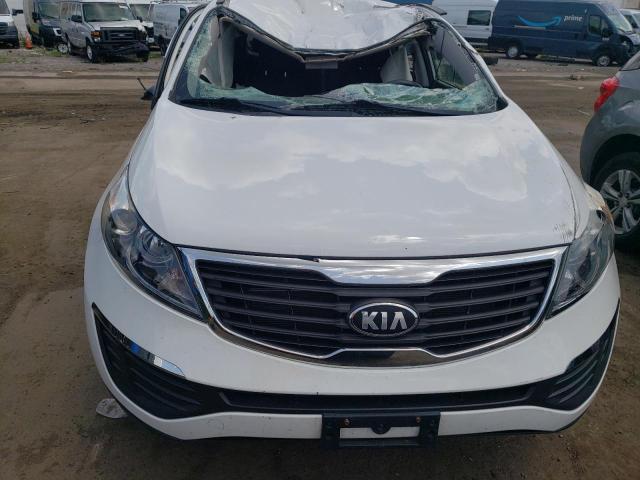 KNDPB3A29D7483396 - 2013 KIA SPORTAGE BASE WHITE photo 5