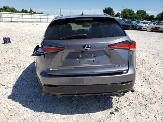 JTJSARDZ8M2254744 - 2021 LEXUS NX 300 BASE 石墨色 照片 6