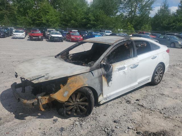 2015 HYUNDAI SONATA SPORT, 