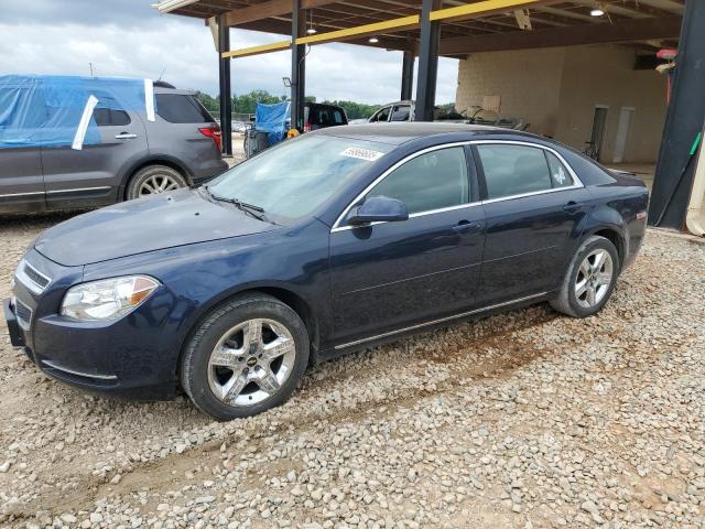 1G1ZH57B29F126562 - 2009 CHEVROLET MALIBU 1LT BLUE photo 1