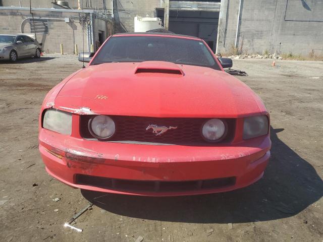 1ZVFT85HX65223976 - 2006 FORD MUSTANG GT RED photo 5