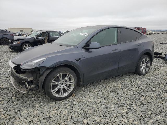 2023 TESLA MODEL Y, 