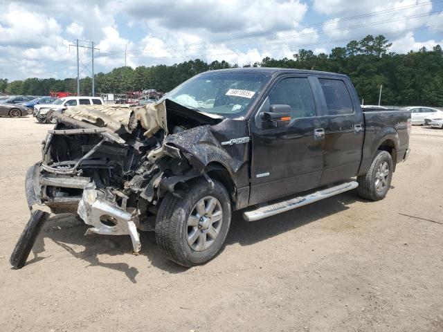 2013 FORD F150 SUPERCREW, null
