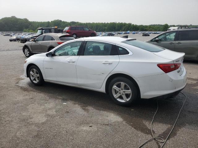 1G1ZB5ST1PF251518 - 2023 CHEVROLET MALIBU LS أبيض صورة 2