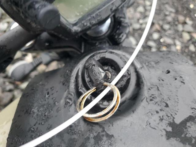 JKAENED16RDA33983 - 2024 KAWASAKI EN650 D BEIGE photo 8