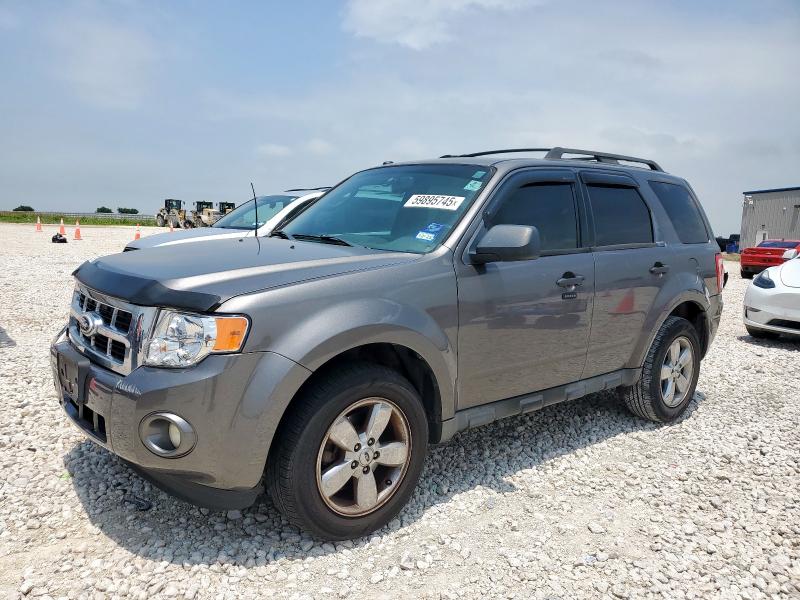 2010 FORD ESCAPE XLT, null