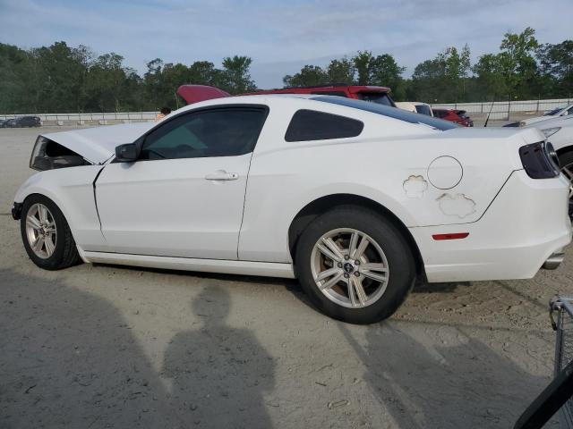 1ZVBP8AM6E5269308 - 2014 FORD MUSTANG WHITE photo 2