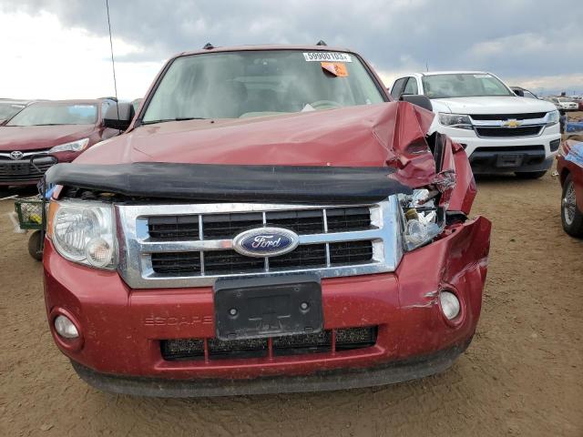 1FMCU0DG4CKA49442 - 2012 FORD ESCAPE XLT RED photo 5