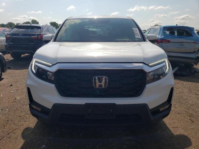 5FNYF8H55PB014200 - 2023 HONDA PASSPORT EXL أبيض صورة 5