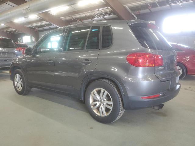 WVGBV3AX7DW613495 - 2013 VOLKSWAGEN TIGUAN S GRAY photo 2