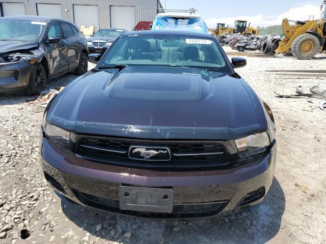 1ZVBP8AM4C5217558 - 2012 FORD MUSTANG PURPLE photo 5