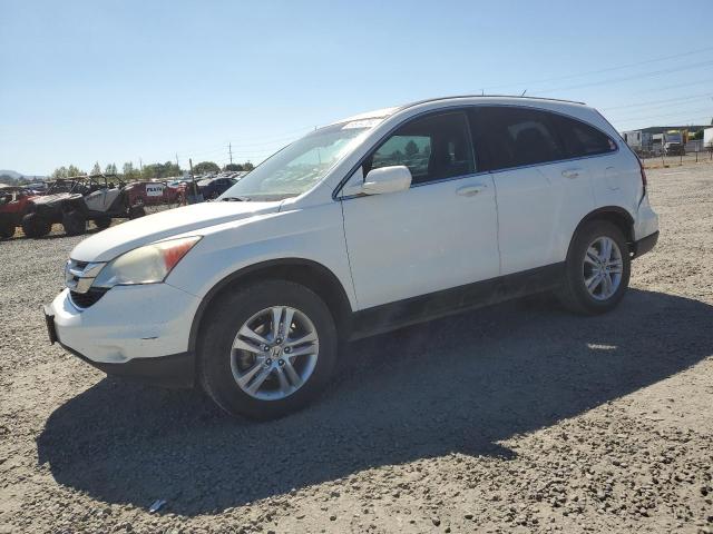 5J6RE4H77AL035596 - 2010 HONDA CR-V EXL WHITE photo 1