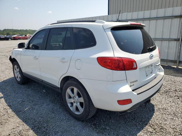 5NMSH13E89H246418 - 2009 HYUNDAI SANTA FE SE WHITE photo 2