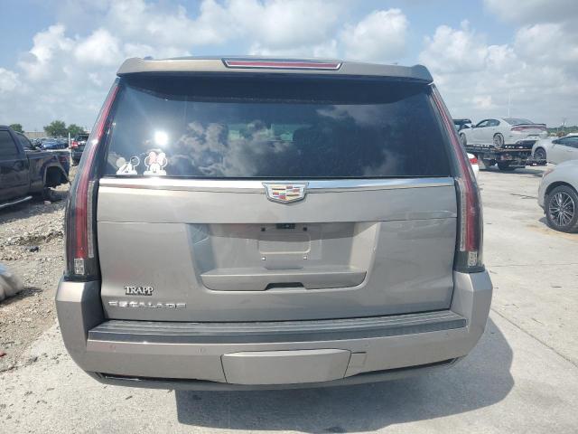 1GYS3HKJ2HR365169 - 2017 CADILLAC ESCALADE ESV LUXURY 棕色 照片 6