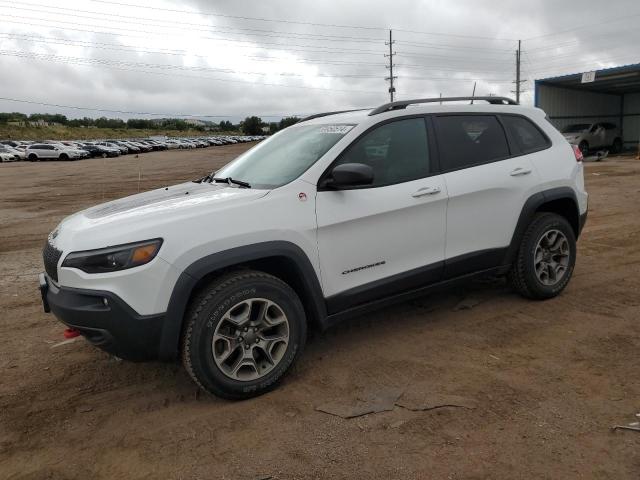 1C4PJMBX4LD565927 - 2020 JEEP CHEROKEE TRAILHAWK WHITE photo 1