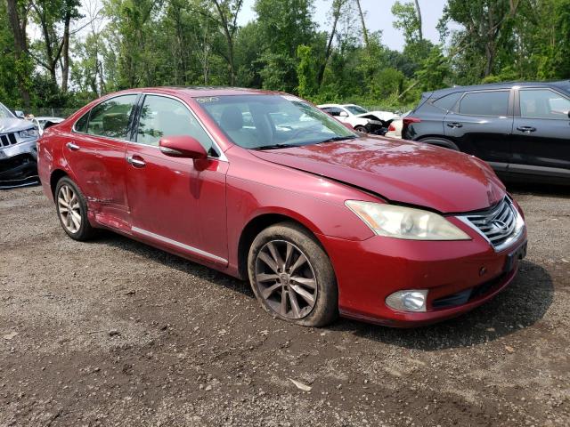 JTHBK1EG8A2371832 - 2010 LEXUS ES 350 RED photo 4