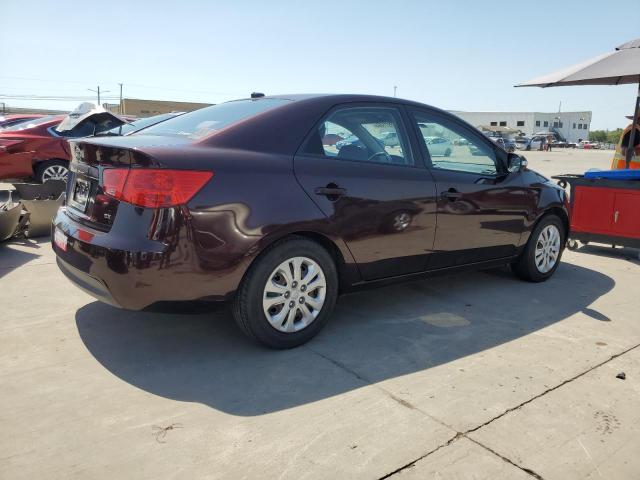 KNAFU4A28A5061250 - 2010 KIA FORTE EX MAROON photo 3