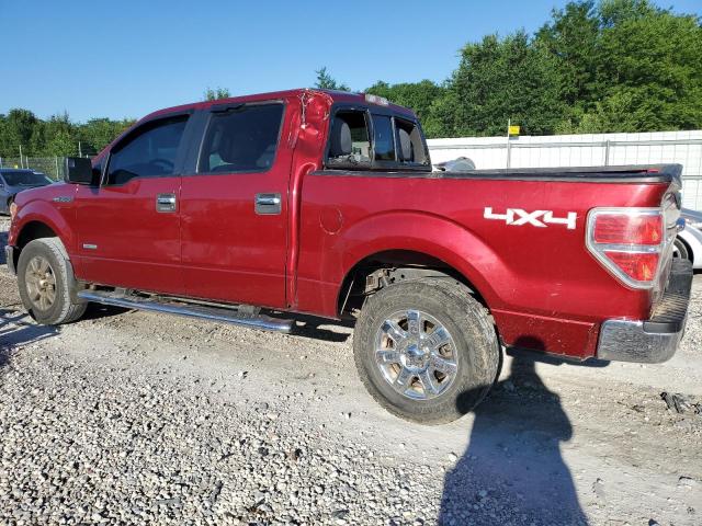 1FTFW1ET8EKE16858 - 2014 FORD F150 SUPERCREW RED photo 2