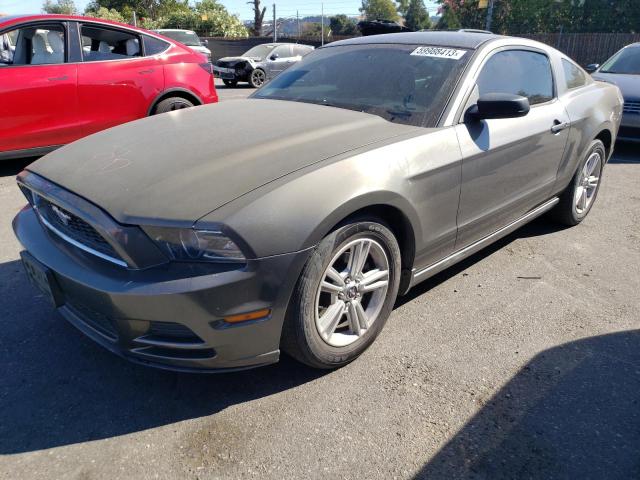 1ZVBP8AM7D5271695 - 2013 FORD MUSTANG CHARCOAL photo 1