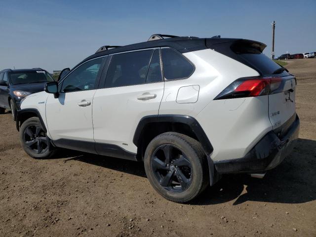 2T3RWRFV1KW006126 - 2019 TOYOTA RAV4 XLE 白色 照片 2