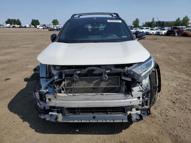 2T3RWRFV1KW006126 - 2019 TOYOTA RAV4 XLE 白色 照片 5