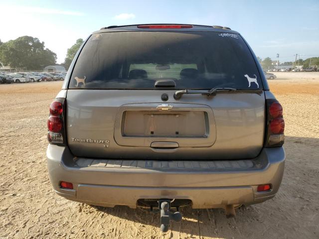 1GNDT13S462304660 - 2006 CHEVROLET TRAILBLAZE LS GRAY photo 6