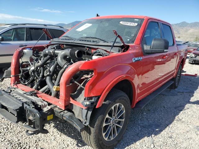 1FTEW1EPXKKC21211 - 2019 FORD F150 SUPERCREW RED photo 1