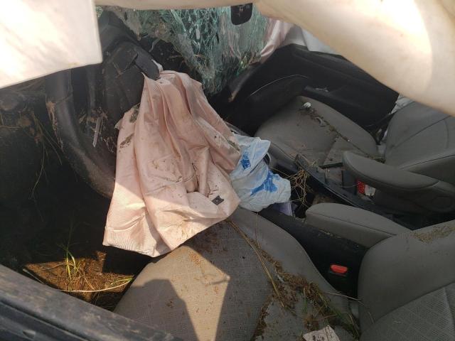 5FNYF7H59LB001499 - 2020 HONDA PASSPORT EXL Boz foto 7