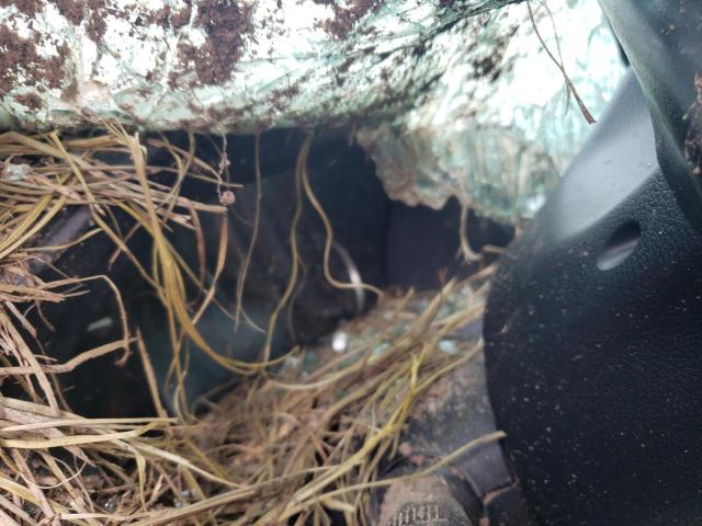 5FNYF7H59LB001499 - 2020 HONDA PASSPORT EXL Boz foto 9