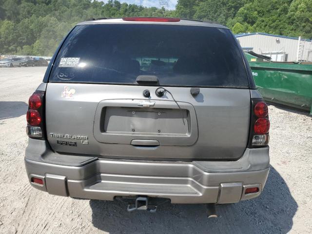 1GNDT13S452313261 - 2005 CHEVROLET TRAILBLAZE LS GRAY photo 6