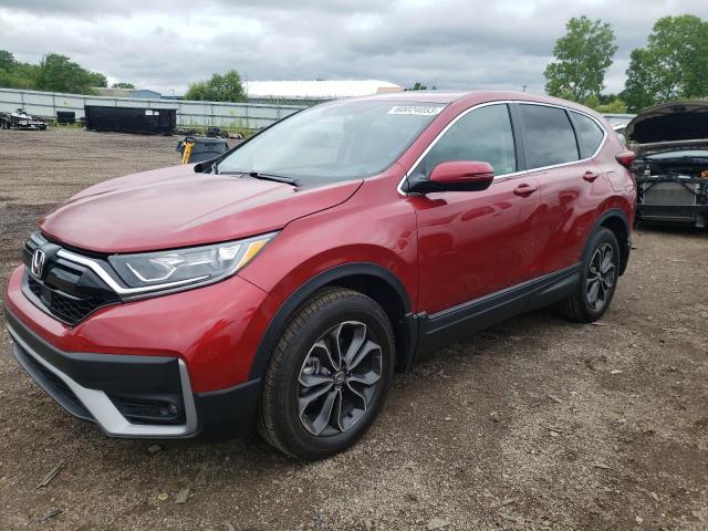 7FARW2H8XNE036979 - 2022 HONDA CR-V EXL BURGUNDY photo 1