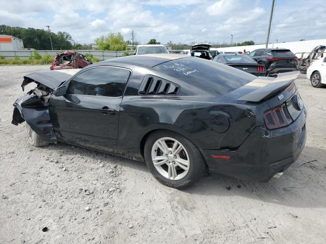 1ZVBP8AM6D5268495 - 2013 FORD MUSTANG BLACK photo 2