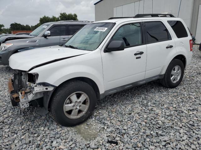 2010 FORD ESCAPE XLT, null