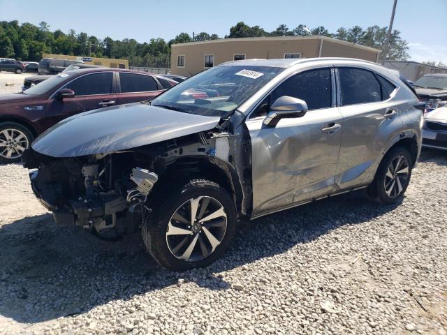 JTJYARBZ2J2092604 - 2018 LEXUS NX 300 BASE Boz foto 1