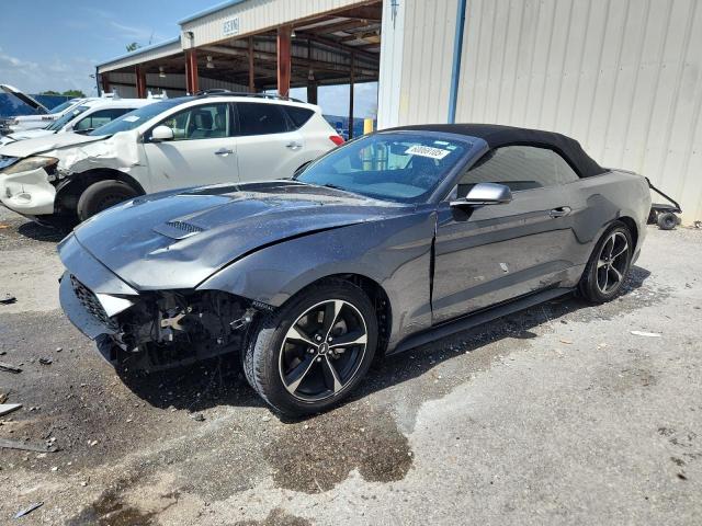2019 FORD MUSTANG, null