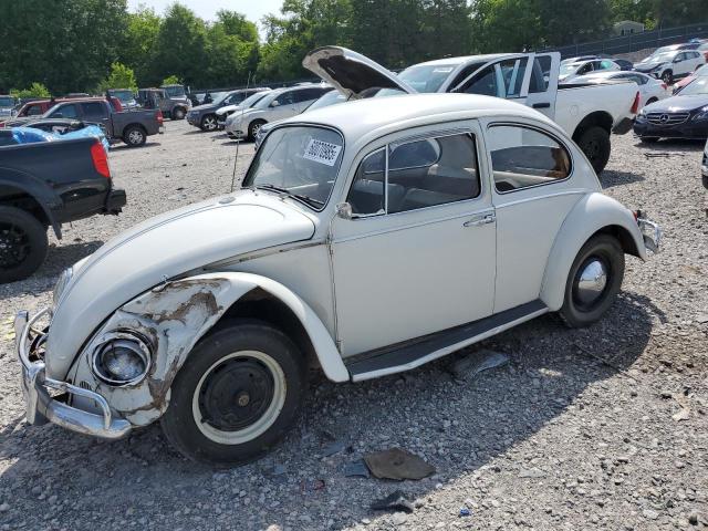 1965 VOLKSWAGEN BEETLE, null