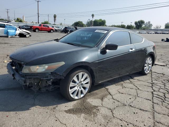 2010 HONDA ACCORD EXL, null