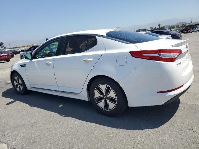 KNAGM4AD9C5011157 - 2012 KIA OPTIMA HYBRID WHITE photo 2