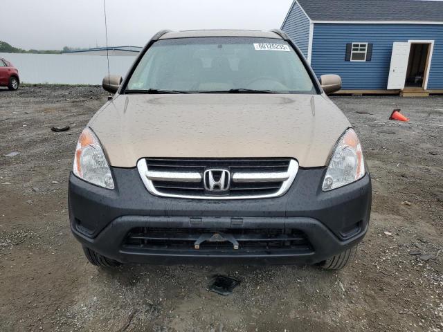 SHSRD78853U131549 - 2003 HONDA CR-V EX 金色 照片 5