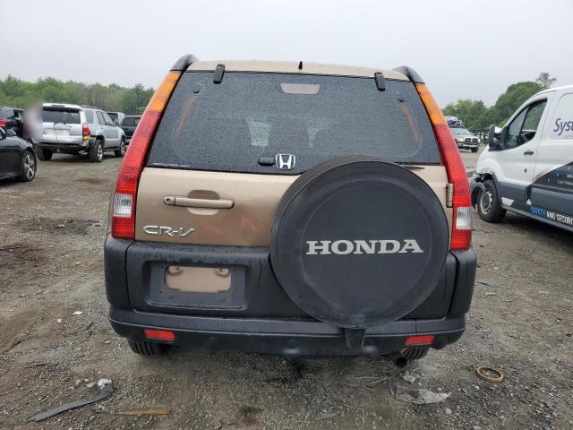 SHSRD78853U131549 - 2003 HONDA CR-V EX 金色 照片 6