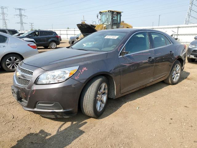 1G11D5RR6DF117794 - 2013 CHEVROLET MALIBU 1LT 灰色 照片 1