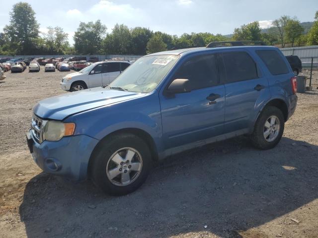 2009 FORD ESCAPE XLT, 