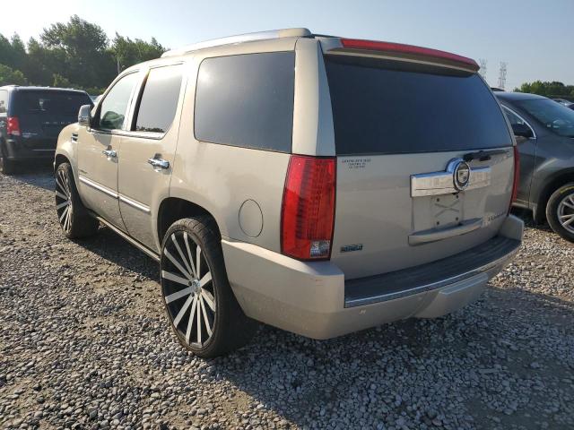 1GYUCCEF0AR239594 - 2010 CADILLAC ESCALADE PREMIUM TAN photo 2